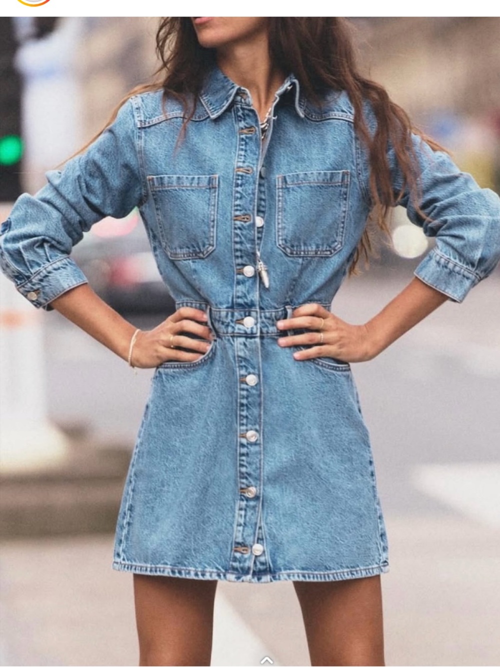 Zara Denim Button-Front Mini Dress